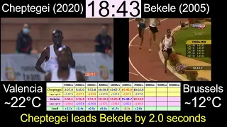 10000m WORLD RECORD Comparison - Cheptegei 26:11 vs. Bekele 26:17 [side by side comparison]