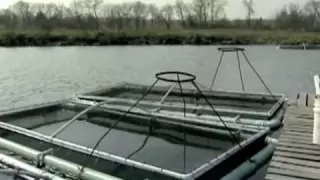 Fish Farming Cage systems