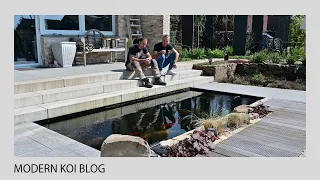 Modern Koi Blog #5237 - Christophers kleiner und feiner 8.000 Liter Kleinteich