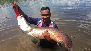 fishing for Arapaima and Tambaqui