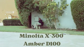 VISITING 19 RESORTS IN EGYPT IN 3 DAYS | Minolta X-300 | Amber D100