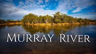 Murray River Facts - Australia