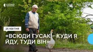 На Тернопільщині гусак не відходить від господаря