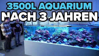 DESWEGEN kennt jeder dieses Aquarium! - 3500 Liter Update nach 3 Jahren