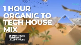 Summer Organic House, Deep Melodic House and Tech House Mixtape 🌴