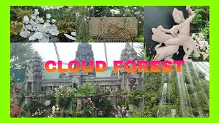 Going back here in Cloud forest #singapore #cloudforest #amazing #beautiful