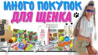 Покупки для щенка🐾 Готовлюсь к появлению шпица🐶