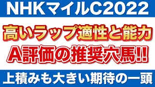 【NHKマイルカップ2022 予想】高いラップ適性と能力！A評価の推奨穴馬を公開！