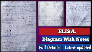 Elisa | Elisa test in hindi | Elisa test microbiology | Elisa test procedure | Elisa method