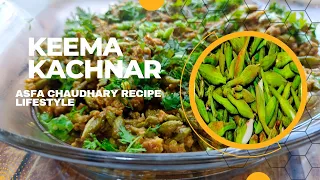 keema kachnar Ki mazedar recipe 😋.         kachnar keema banana ka tarika