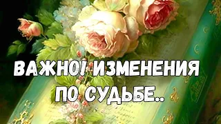 📖🙏ОЧЕНЬ ВАЖНАЯ ЗАПИСЬ В КНИГЕ ТВОЕЙ СУДЬБЫ #ТАРО