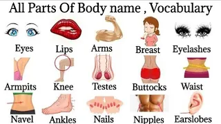 All  Basic Parts Of The Body | Body Parts In English | Parts Of Body  #bodyparts