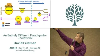 AHS18 Dave Feldman - An Entirely Different Paradigm for Cholesterol