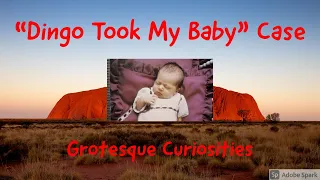 Dingo Took My Baby Case | Grotesque Curiosities
