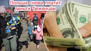 Польша снова будет платить деньги беженцам! Как и где получить помощь в Польше для беженцев ?!