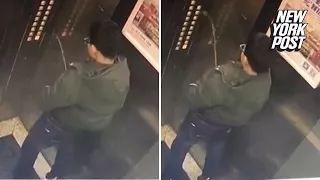 Prankster pees on elevator buttons and gets trapped inside | New York Post