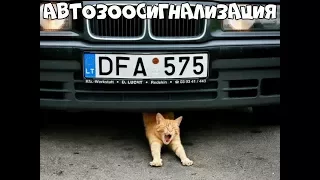 ЛУЧШИЕ АВТО ПРИКОЛЫ #3