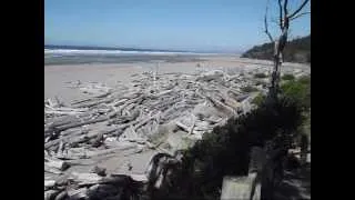 Olympic peninsula,  Washington, USA: Lake Quinault and rainforest