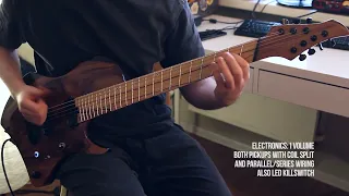Abasi Concepts Style Custom Guitar Test