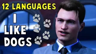 I Like Dogs in 12 Languages - Detroit Become Human