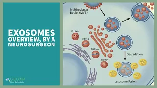 What you need to know about Exosomes