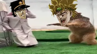 Dio is Angry Animal