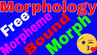 Introduction to Morphology | Linguistics | Free & Bound Morpheme