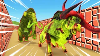 Zombie Elephant mammoth vs monster Bull escape from maze | Temple run Versuslife 2k23