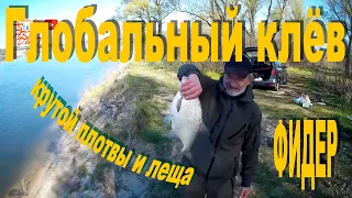 Десна весна. Впечатляющий клёв | Крупная плотва и лещ | Фидер по Фёдору