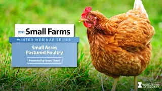 Small Acres Pastured Poultry, Thursday, March 15, 2018- James Theuri