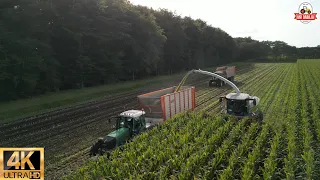 full version Cornharvest 2023 Van Rulo Claas jaguar 950 +750 orbis +John Deere+fendt  +dronefootage