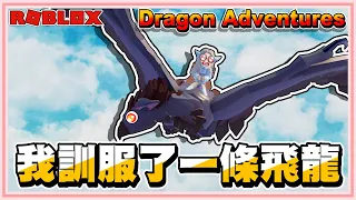 Roblox【Dragon Adventures！我孵化出不同的飛龍！】養龍！孵蛋！巨龍歷險記！Dragon Adventures