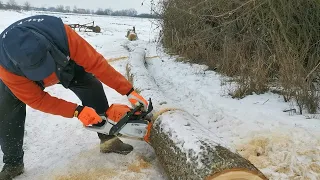 STIHL ms 362 & chain RD3(VIDIA) cutting frozen wood.