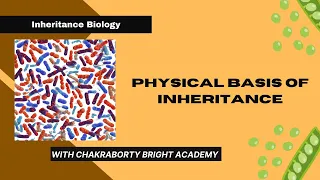 Physical Basis of Inheritance