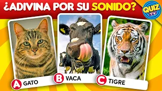 Adivina el Animal por el Sonido 🐸🔊🐰  Quiz de Animales - Quiz Tv ✅