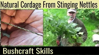 How To Make Natural Cordage From Stinging Nettles - From Picking The Plant to Making The String