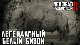 ЛЕГЕНДАРНЫЙ БЕЛЫЙ БИЗОН - охота в RDR 2