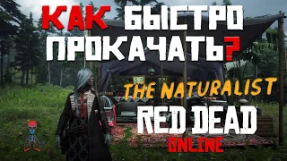 RDR Online - Как быстро прокачать роль натуралиста / Поднимаем уровень роли за 30 минут / Гайд