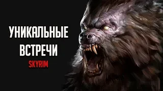 Skyrim РЕДКИЕ И УНИКАЛЬНЫЕ ВСТРЕЧИ ( Секреты #255 )