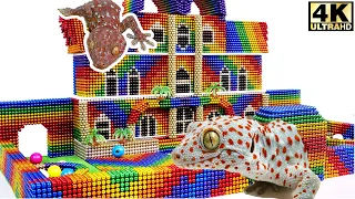 ASMR - Build Amazing Castle For Couple Gecko With Magnetic Balls Magnet Satisfying - WOW Magnet