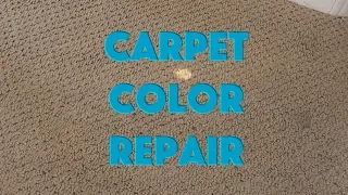 Carpet Color Repair - How to Spot Dye Carpet