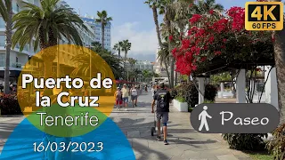 Tenerife - Puerto de la Cruz, zona Martiánez 🏝️🌊🚶‍♂️ 4K HDR
