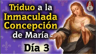 🙏 Día 3🙏Triduo a Nuestra Señora de la Inmaculada Concepción🔵 Oración y Meditación