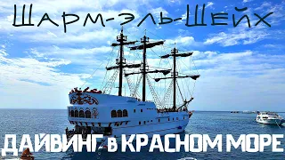 ЛУЧШАЯ ЭКСКУРСИЯ!ОБЗОР ДАЙВИНГ!КРАСНОЕ МОРЕ!РАС МОХАММЕД/БЕЛЫЙ ОСТРОВ.ИНСТРУКТАЖ!ЕГИПЕТ.2019.