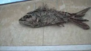 Sculpture: Fish made of driftwood mounted on building