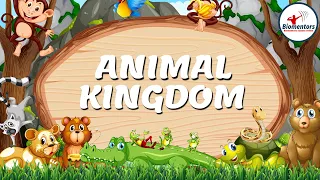 Animal Kingdom l lecture 12 l Biology l NEET