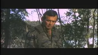 The Green Berets 1968 Movie