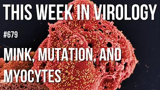 TWiV 679: Mink, mutation, and myocytes