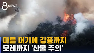 [날씨] 마른 대기에 강풍까지…모레까지 '산불 주의' / SBS 8뉴스