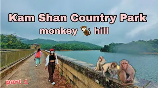 Part 1 our journey to Kam shan Country park/ monkey hill